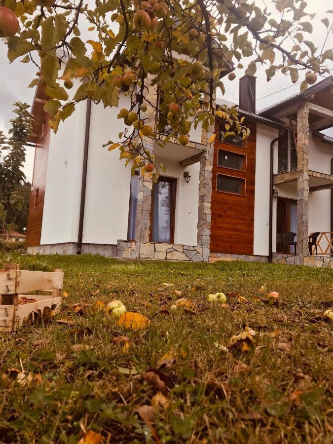 Vila Montenegrina Kolašin Exterior foto